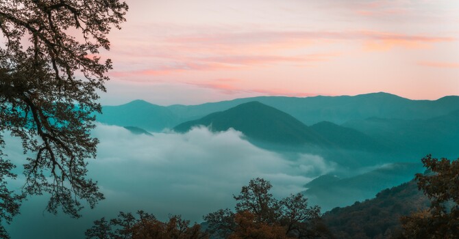 Important Updates to Practice Format Regarding Insurance image